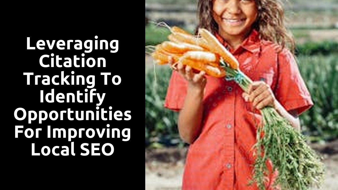 Leveraging citation tracking to identify opportunities for improving local SEO visibility